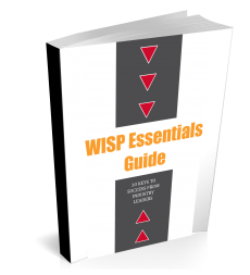 wisp-essentials-guide-3d-image.png